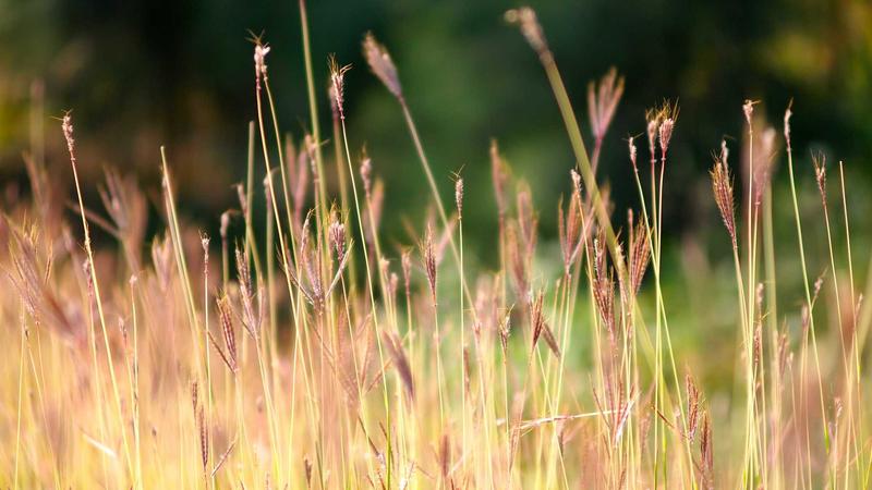 蜜桃视频芯动体验高清影院封面